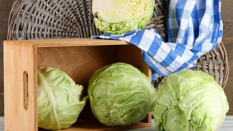 Wo und wie man frischen Kohl zu Hause in einer Wohnung lagert