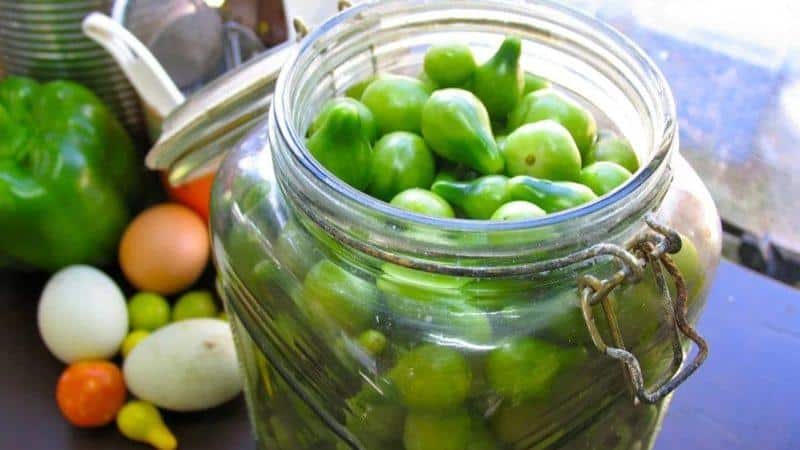 Come cucinare i pomodori verdi a botte a casa: le migliori ricette e consigli di cucina