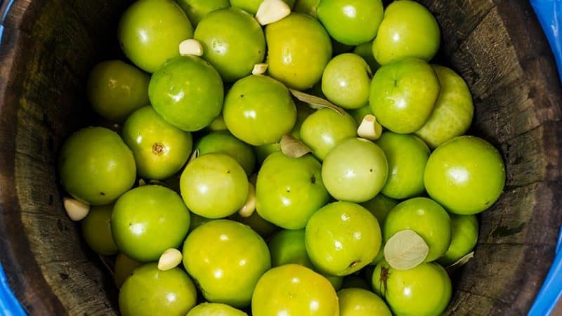 Paano magluto ng barrel green tomatoes sa bahay: pinakamahusay na mga recipe at mga tip sa pagluluto