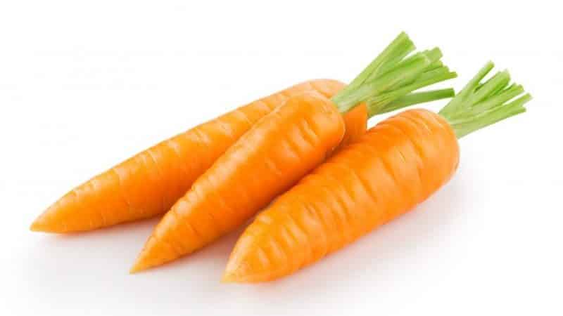 Karaniwang French carrot variety Carotel