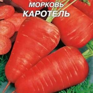 Carotel pelbagai carrot Perancis standard