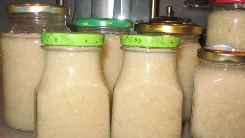 Do-it-yourself burning preparation: is it possible to freeze horseradish for the winter and how to do it correctly