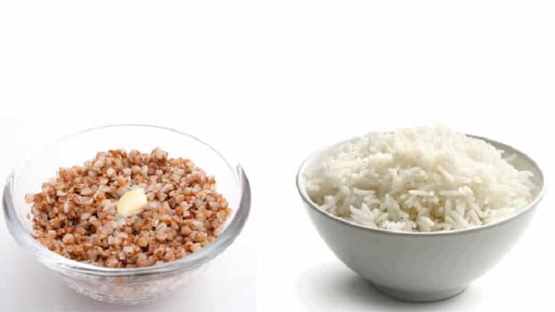 Como armazenar o trigo sarraceno e o arroz cozidos: podem ser congelados?