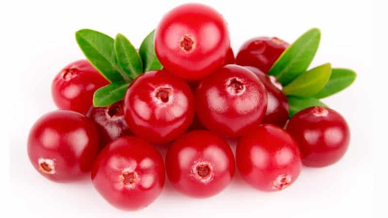 Cách chế biến dưa cải bắp đúng cách với lingonberries