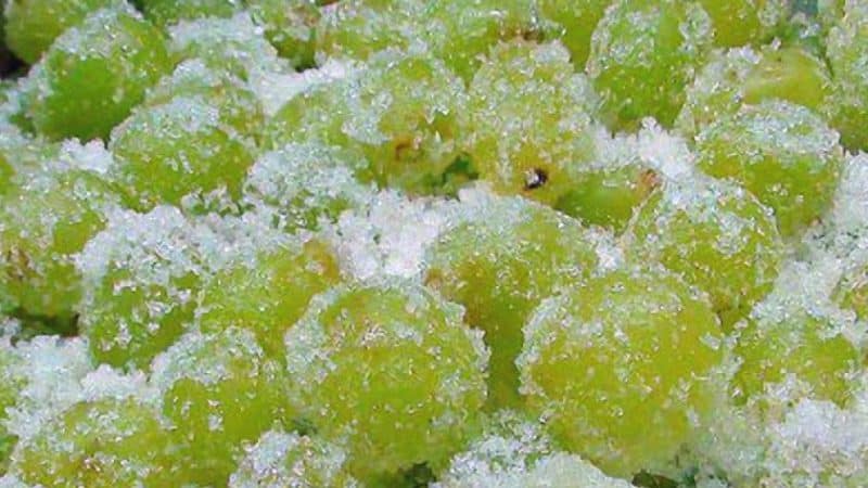 How to properly freeze grapes for the winter in the freezer and is it possible to do this?