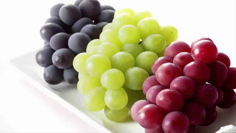 How to properly freeze grapes for the winter in the freezer and is it possible to do this?