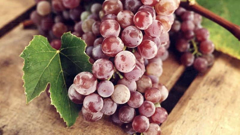 Formas comprobadas de conservar las uvas para el invierno en casa.