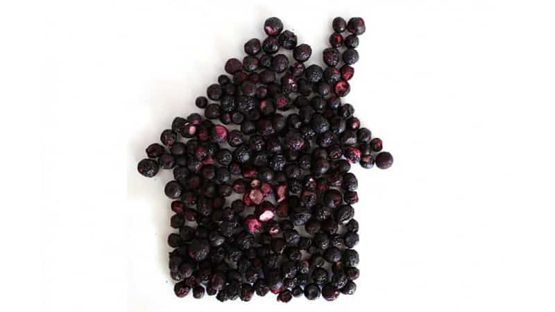 The best ways to dry blackcurrants at home