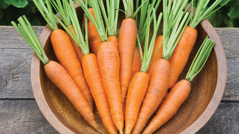 Kalorier, vitaminer og næringsværdi af friske og kogte gulerødder