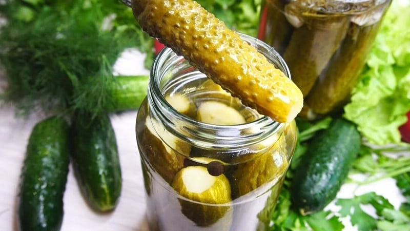 Delicious recipes for the winter: cold pickled cucumbers in jars