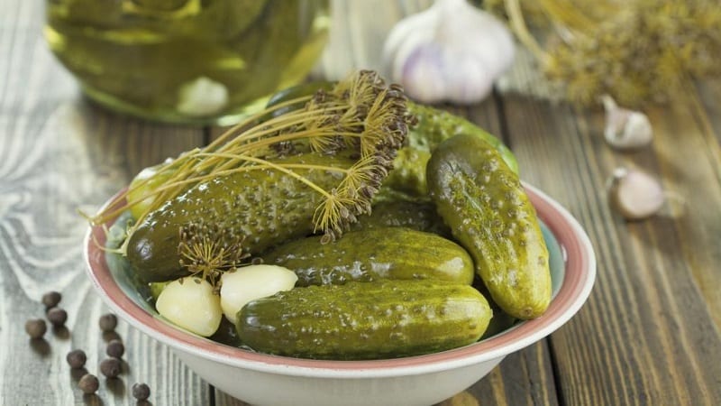 Delicious recipes for the winter: cold pickled cucumbers in jars