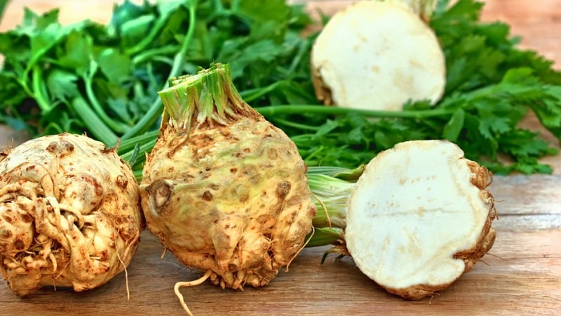 Las mejores formas de almacenar la raíz de apio para el invierno en casa.