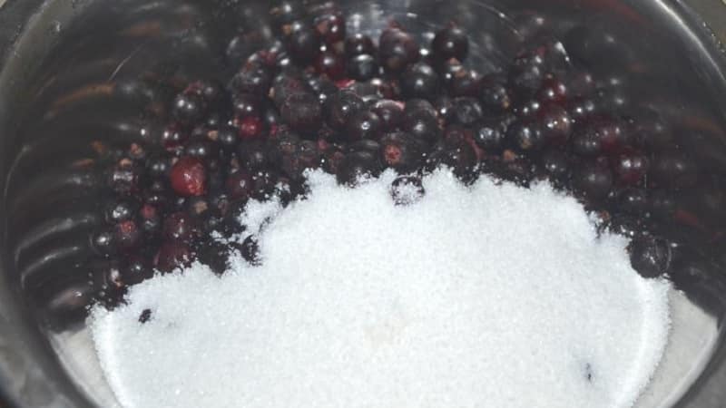 Ang pinakamahusay na mga paraan upang i-freeze ang mga blackcurrant para sa taglamig sa freezer