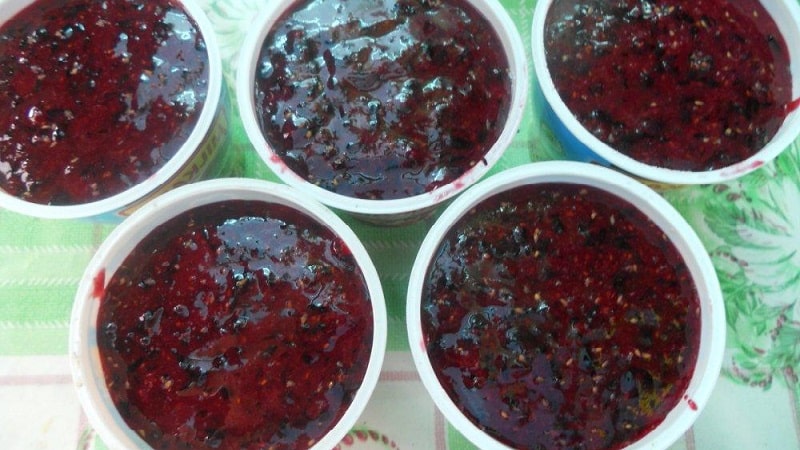 The best ways to freeze blackcurrants for the winter in the freezer