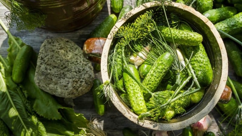 Läckra krispiga lättsaltade gurkor för vintern: recept utan sterilisering för 1 liter