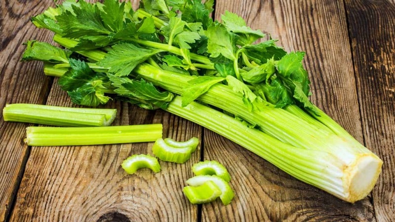 Ang Hindi Kapani-paniwalang Mga Benepisyo ng Celery para sa Mga Lalaki