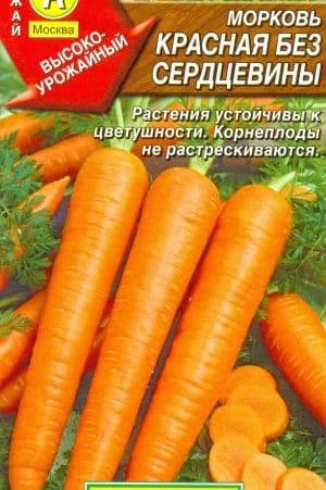 Caractéristiques des carottes rouges sans noyau