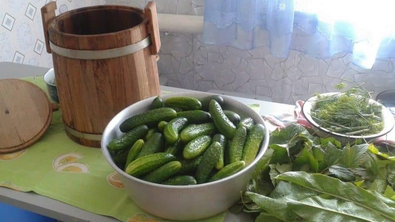 Características del encurtido de pepinos para el invierno en un barril: recetas de encurtido en frío.