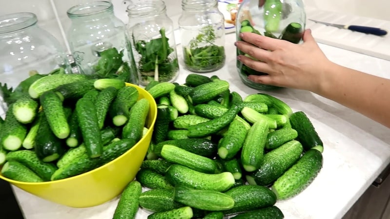 Mga tampok ng pag-aatsara ng mga pipino na may sitriko acid: mga recipe para sa 1 at 3 litro na garapon