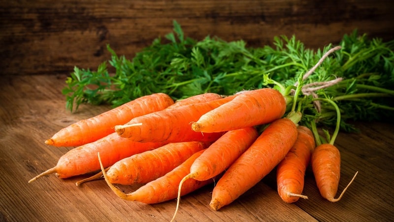 Pourquoi les carottes bouillies sont plus saines que les carottes crues