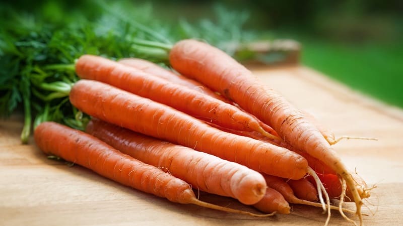 Pourquoi les carottes bouillies sont plus saines que les carottes crues