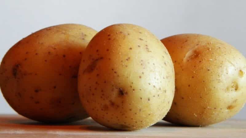 Detailed description and advice from agronomists on potato varieties: Petersburg, Barin, Leader and others