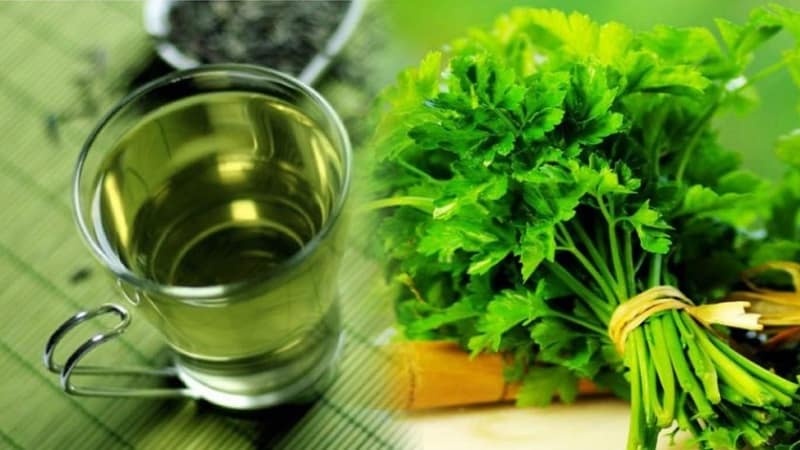 Useful properties of parsley decoction and how to prepare it correctly