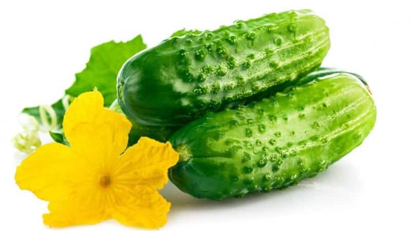 The benefits and harms of cucumbers for human health