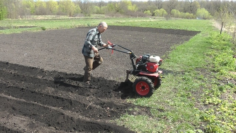 Tehnologie pentru plantarea cartofilor cu un tractor de mers pe jos