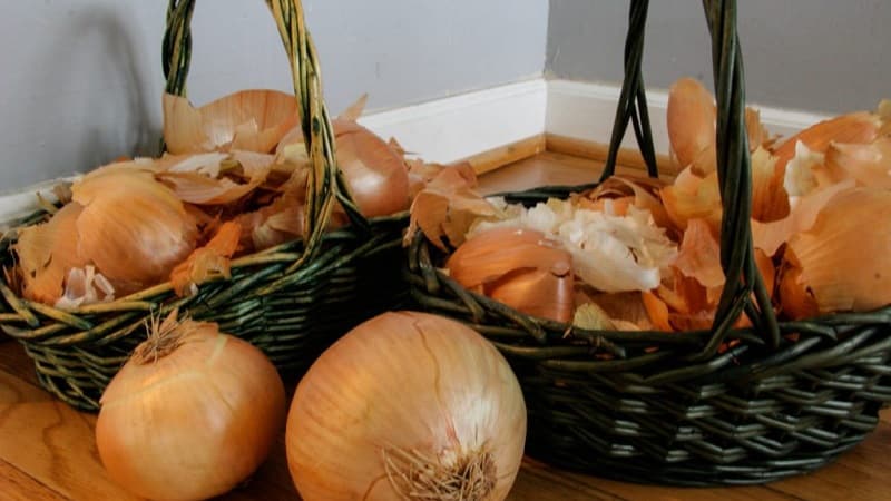 Die Verwendung von Zwiebelschalen für den Garten