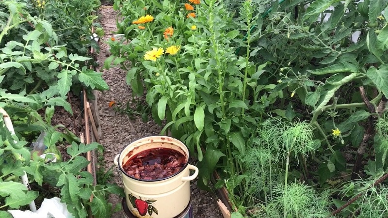 Die Verwendung von Zwiebelschalen für den Garten