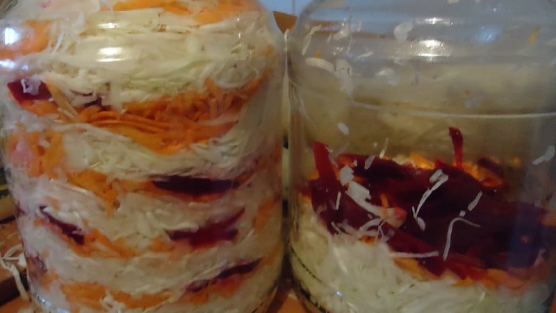 Simple and tasty recipes for pickling cabbage in brine with salt and sugar