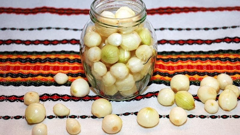 Zwiebeln im Glas für den Winter: So einlegen Sie sie richtig