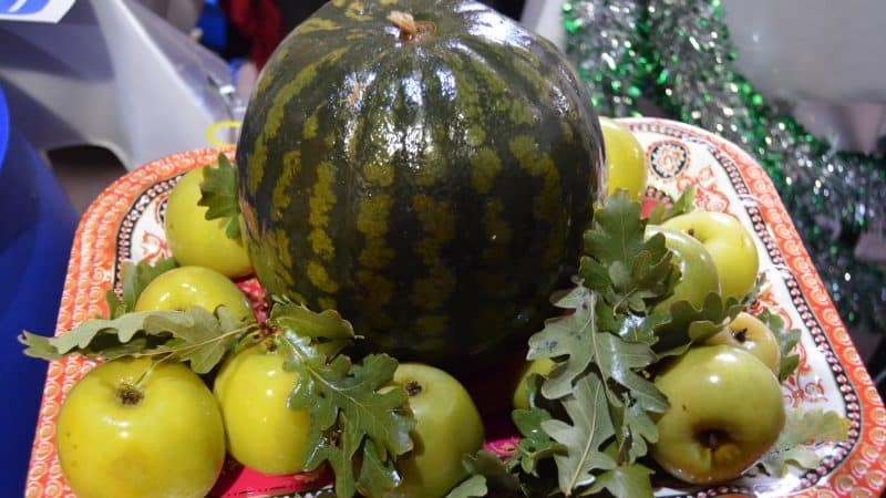 Klasični recept za lubenice natopljene u bačvi kod kuće i razne mogućnosti aditiva