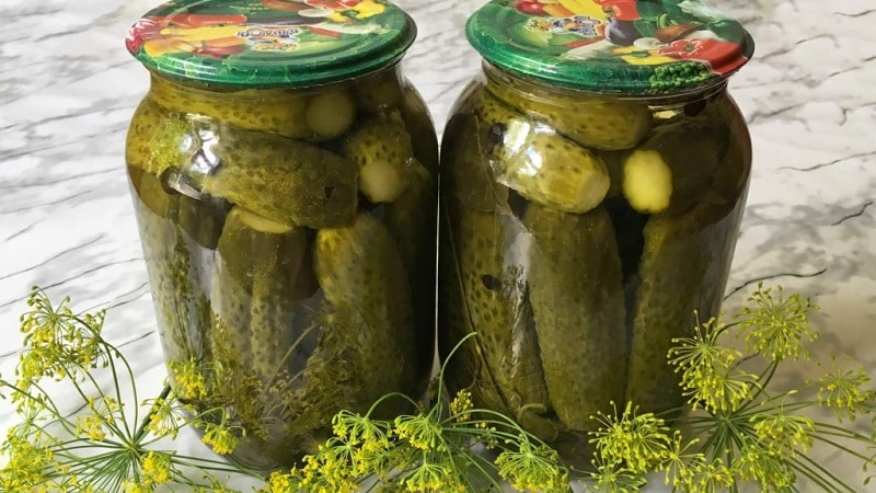 Crispy cucumbers in jars for the winter: recipes for pickling with vinegar