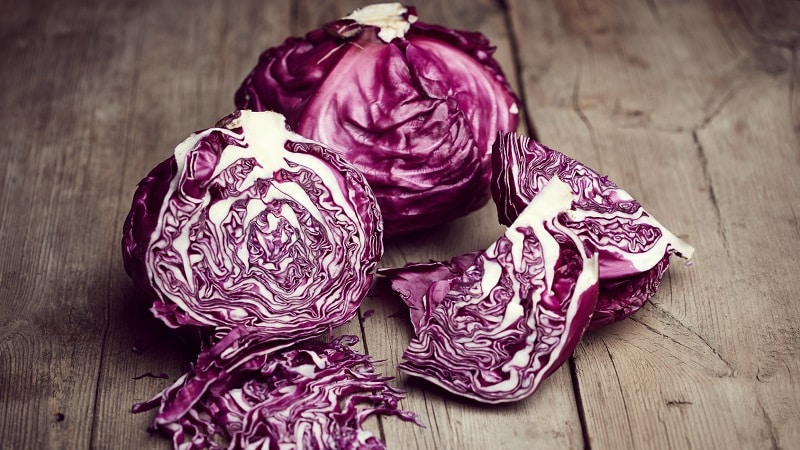 As mais deliciosas receitas de repolho roxo em conserva para o inverno