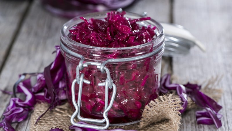 As mais deliciosas receitas de repolho roxo em conserva para o inverno