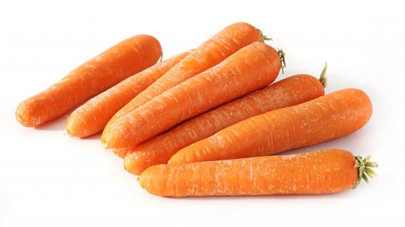 Matamis na mid-season carrot variety Nantes 4