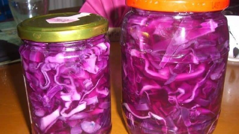 Maneiras simples e saborosas de conservar repolho roxo em potes para o inverno