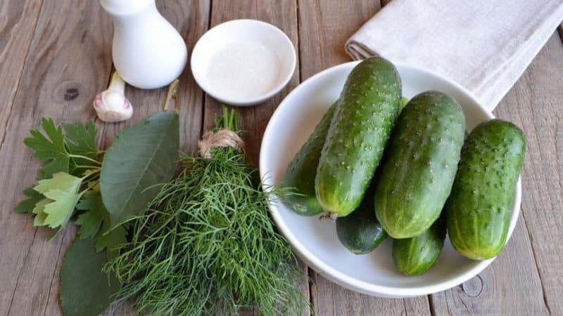 Einfache und leckere Möglichkeiten, eingelegte Gurken im Glas, Beutel und Fass zu trocknen