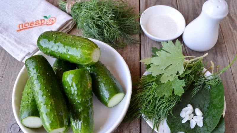 Einfache und leckere Möglichkeiten, eingelegte Gurken im Glas, Beutel und Fass zu trocknen