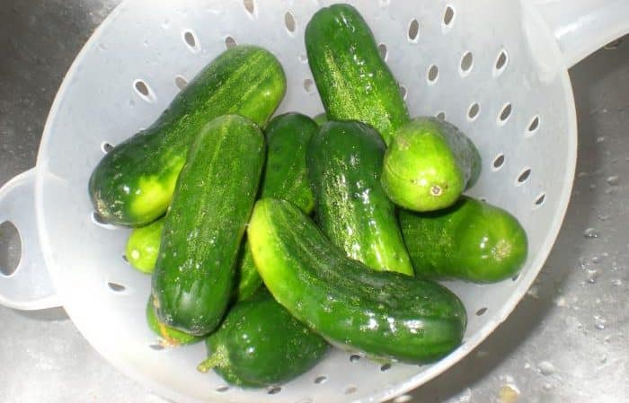 Simple and tasty ways to dry pickle cucumbers in a jar, bag and barrel