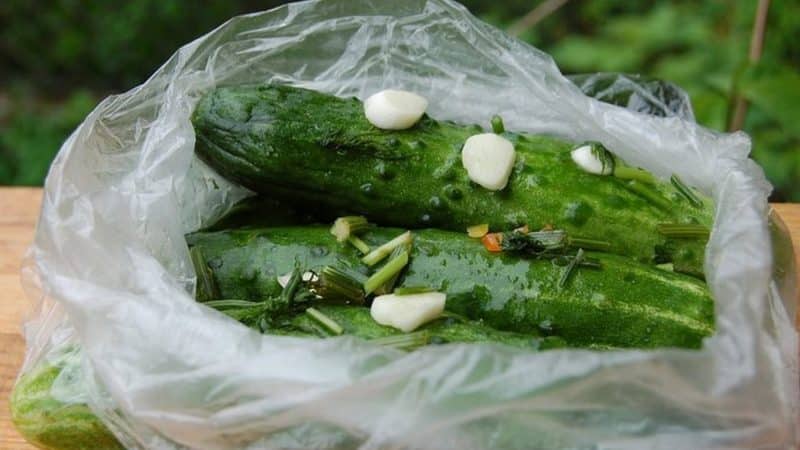 Formas sencillas y sabrosas de secar pepinos encurtidos en un frasco, bolsa y barril