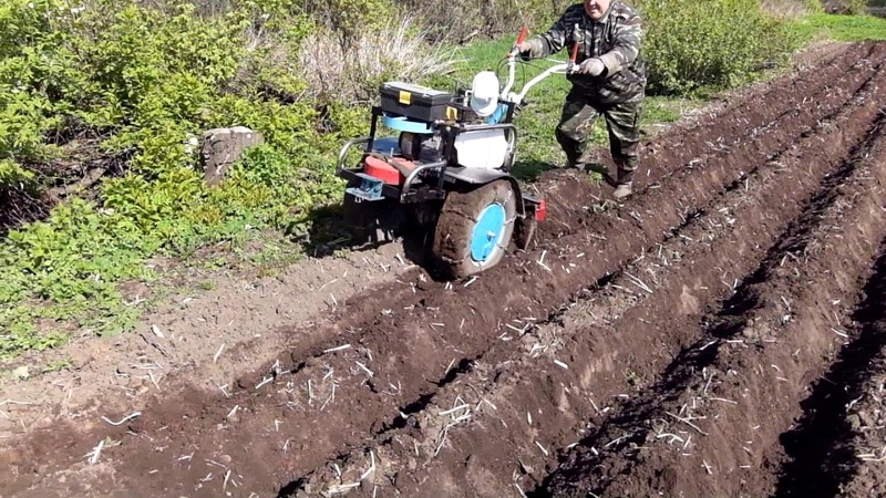 Tehnologie pentru plantarea cartofilor cu un tractor de mers pe jos