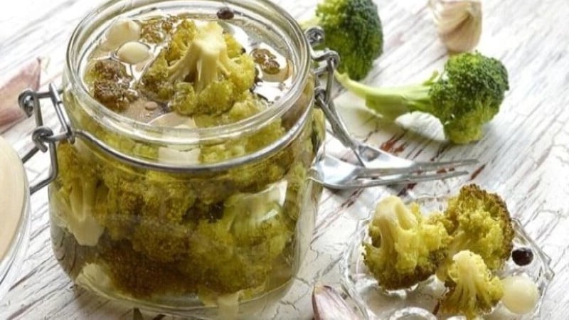 Heerlijke recepten voor het bereiden van ingelegde broccoli voor de winter van ervaren huisvrouwen