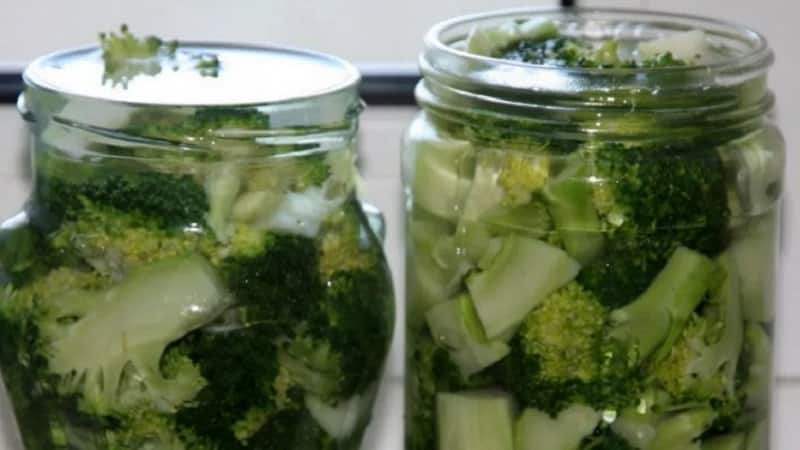 Heerlijke recepten voor het bereiden van ingelegde broccoli voor de winter van ervaren huisvrouwen