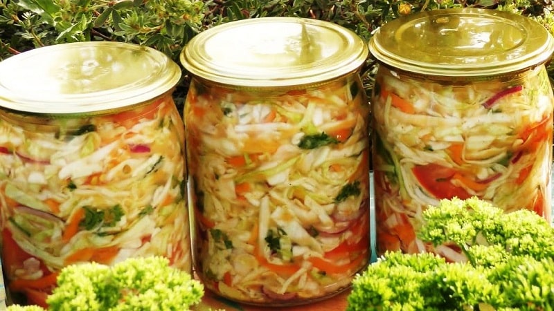 Mengapa anda boleh diracuni oleh sauerkraut dan apa yang perlu dilakukan jika ini berlaku