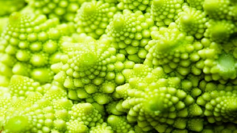 Welche Vorteile hat Romanesco-Kohl, wie sieht er auf dem Foto aus, ist er schwierig anzubauen und wie wird er zubereitet?