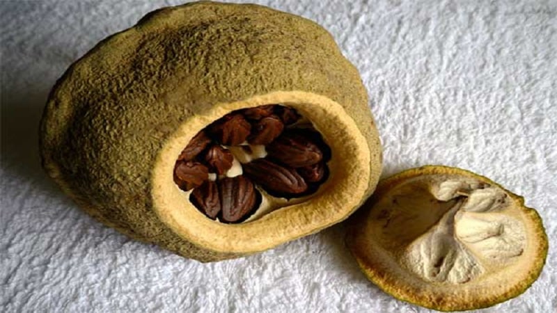 Beneficios de las nueces de Brasil para las mujeres