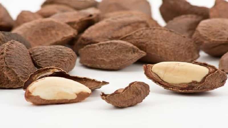 Beneficios de las nueces de Brasil para las mujeres